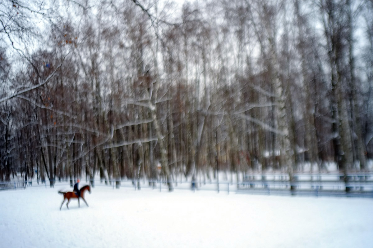 For many Russians the winter holidays aren’t finished until January 14, when they celebrate Old New Year. In fact, tradition dictates not to take down the Christmas tree until then.