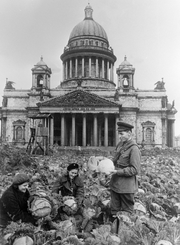 Despite these tragic losses and the inhuman conditions the city's war industries still continued to work and the city did not surrender. // Two Soviet soldiers and a woman gathering cabbage near St. Isaac's cathedral in besieged Leningrad.