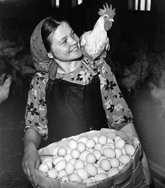Poultry farm. 1950s // People of art, polar explorers, sailormen, steel melters hold a specific place in Yakov Ryumkin’s photo diary.