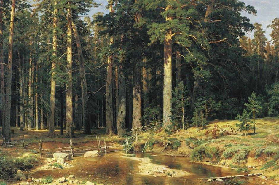 On the eve of the 20th century, when various trends and directions were emerging and the search was on for new artistic styles, Shishkin continued steadily along his chosen path, creating true-to-life images of Russian nature. &quot;Ship Grove&quot; (1898) provided a fitting end to his creative journey. It was the last and conclusive image of his own personal epic. // &quot;Mast tree grove&quot;, 1898