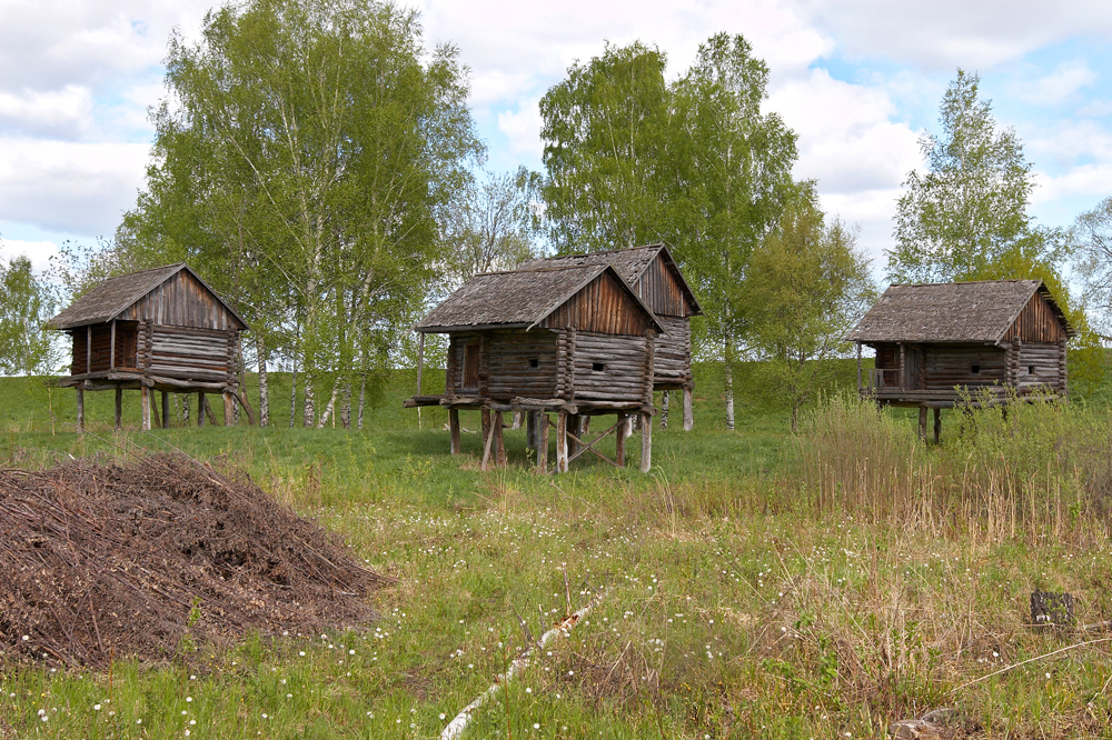 Die Grundsteine der alten Handelsreihen von Kostroma wurden 1796 gelegt. Diese gigantischen Markthallen sollten es den Steuerbehörden erleichtern, die Gewinne der Kaufleute zu überblicken. Den Kunden ermöglichten sie Preisvergleiche und eine Konzentration von Waren aller Art an einem Ort.