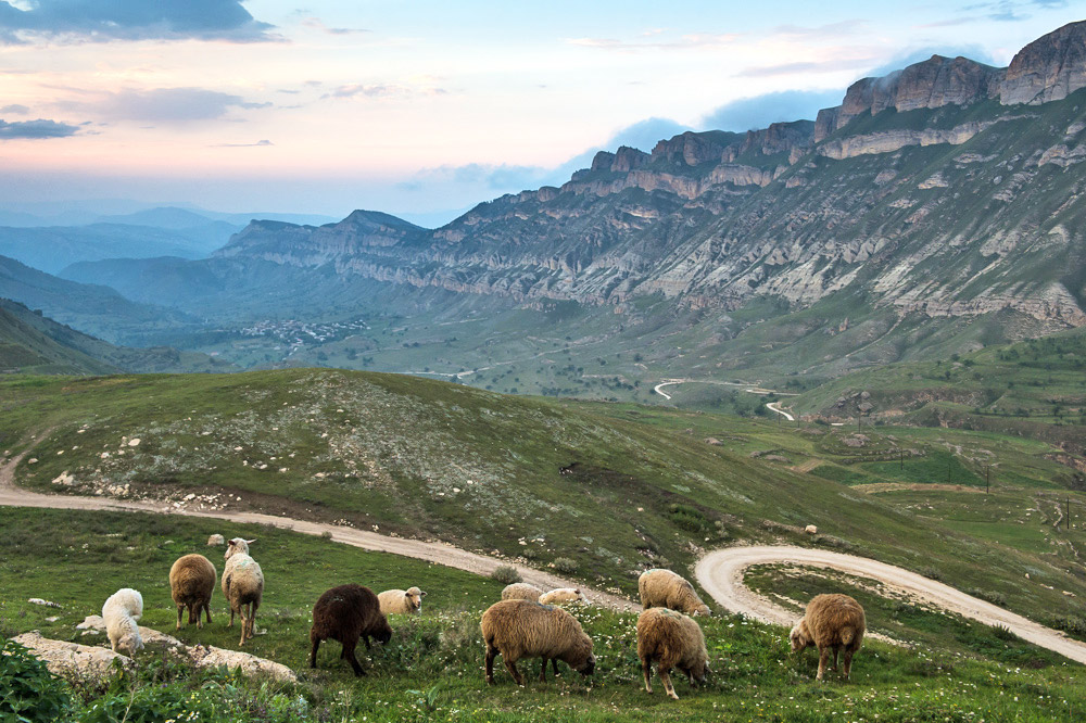 Dagestan is famous for its variety of ethnic groups who cherish their traditions, customs and culture. The diversity of Dagestan&#039;s traditions is extraordinary: you are sure to find special native customs and ceremonies in practically all the large mountain villages.