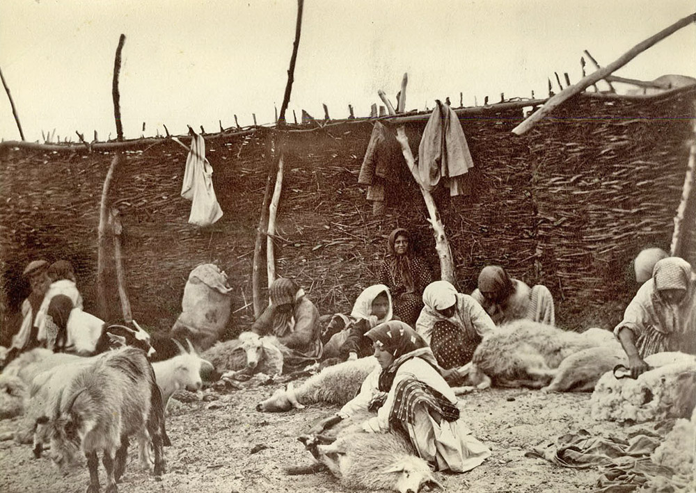 Using several lenses placed in a self-made carton frame, he ended up with a simple, but extremely effective lens that allowed him to take a proper photograph. / Sheep shearing