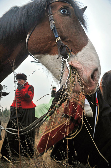 厩舎の職員が、狩猟で皇族が乗る馬の儀式用馬具を用意した。鞍職人は鞍を作り、ハーネス職人はハーネスを作り、鍛冶屋は蹄鉄と鐙を作り、銀細工師は装飾を作った。