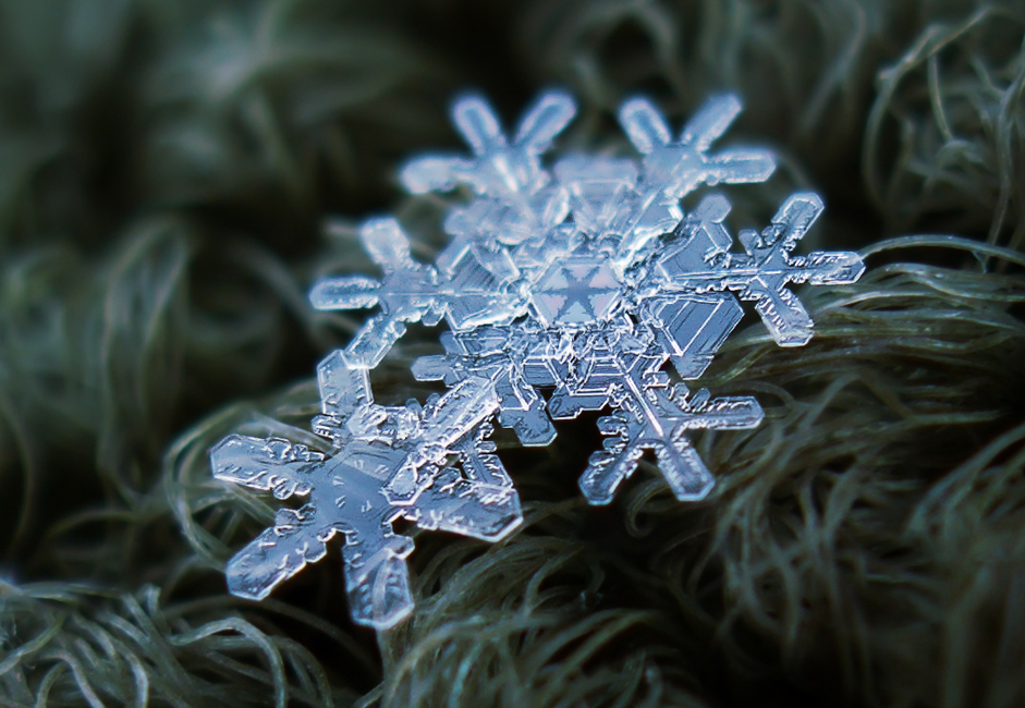 Macro shots of natural snowflakes