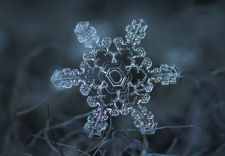Macro shots of natural snowflakes