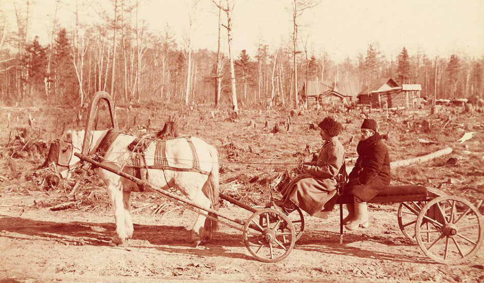 2/16. Овакве запреге користили су извођачи радова током изградње железнице у Источном Сибиру. Светски саобраћајни одбор ангажовао је уметника и фотографа Вилијама Хенрија Џексона да од 1894. до 1896. путује овом пругом, која се тада градила. На том путовању снимио је више од 25.000 фотографија.