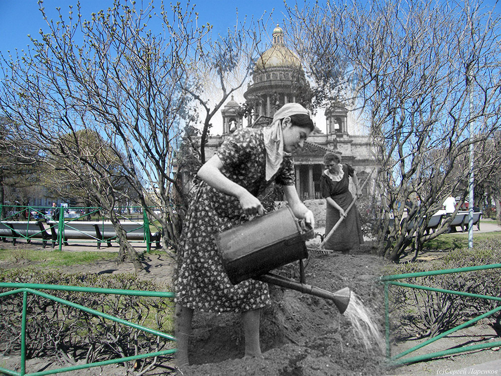 Women tend a garden plot in front of St Isaac's Cathedral. Many of the city’s parks were dug up and turned into vegetable gardens in order to provide food for the city.