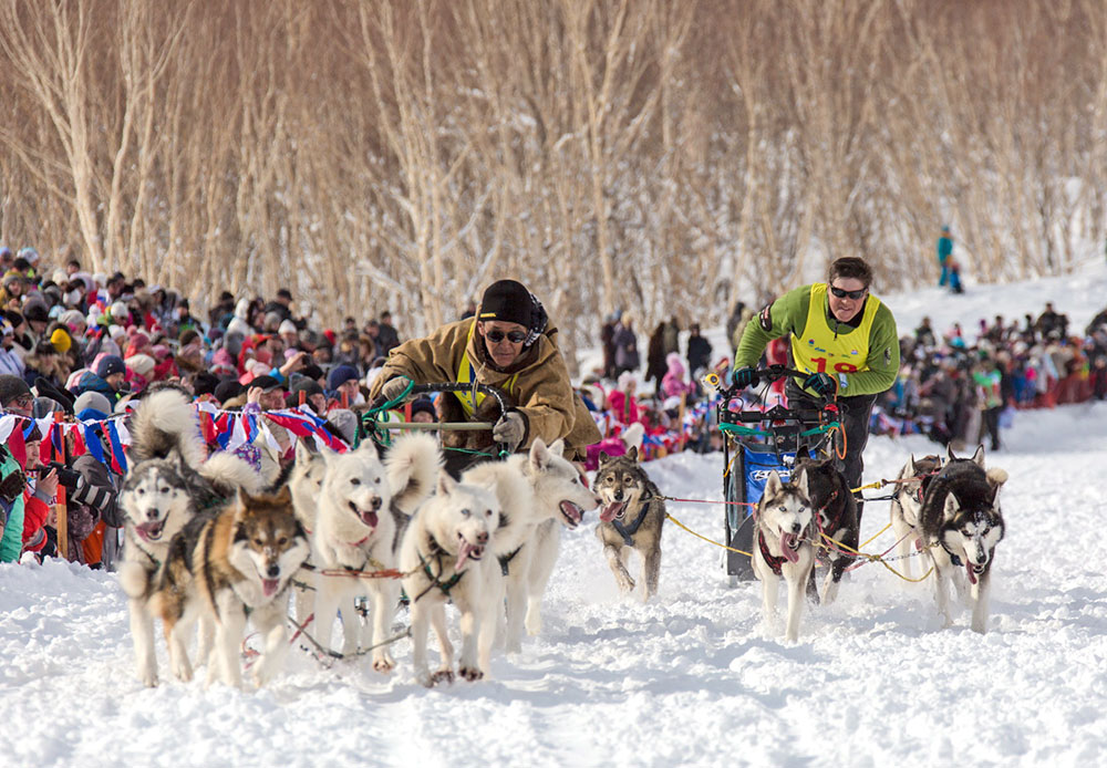 Kompetisi Beringia bertujuan melestarikan tradisi masyarakat adat dari Utara yang tak dapat lepas dari bantuan anjing dalam kehidupan sehari-hari karena di daerah tersebut banyak permukiman yang tidak dihubungkan oleh jalan
