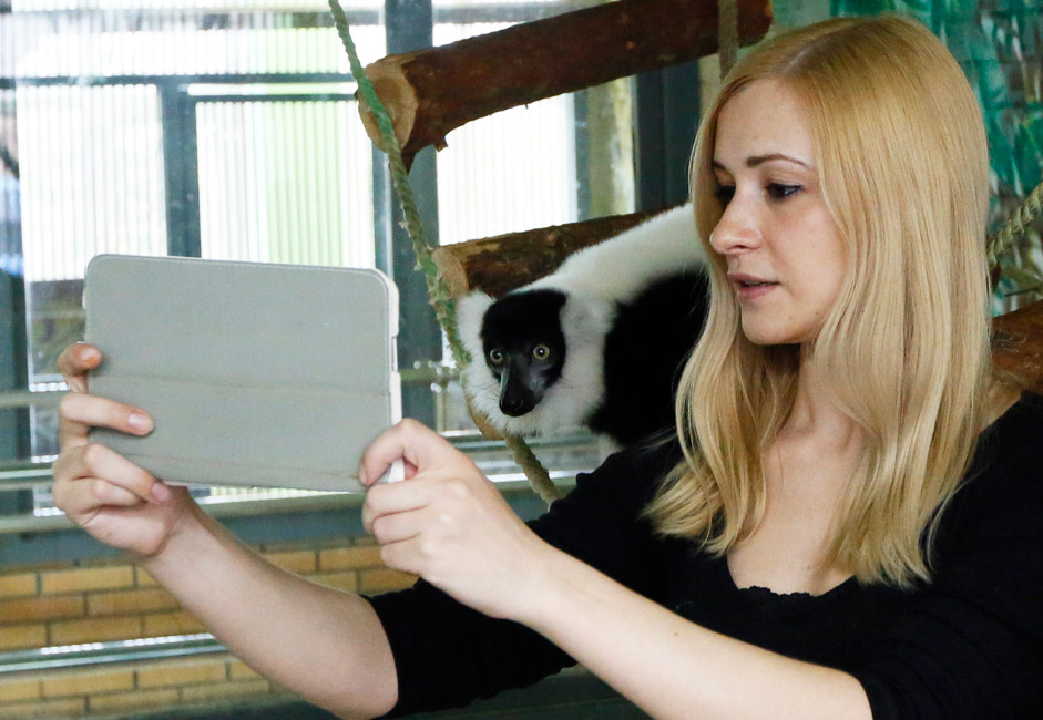 A zoo employee takes a self portrait with a lemur on a tablet computer at the Royev Ruchey zoo in Krasnoyarsk, Siberia. Zoo employees take pictures of various animals and show it to the primates to help their development and provide variety in their life at the zoo.