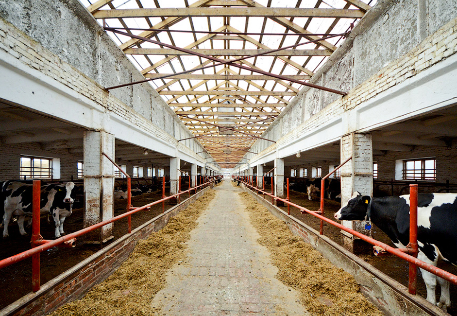 Предузеће Ирмен налази се у селу Верх-Ирмен, у Новосибирској области. Ова компанија бави се производњом сточне хране, млека и меса. Половина укупне реализације Ирмена отпада на пласман млека, док месо и сточна храна учествују са по 16% у укупном резултату.
