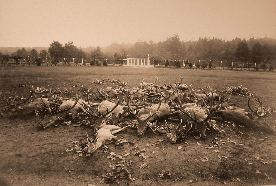 "We lunched with Vladimir, who took great amusement in our failure. We felt dragged through the mud such was the shame, since I'd bagged just a single hare."