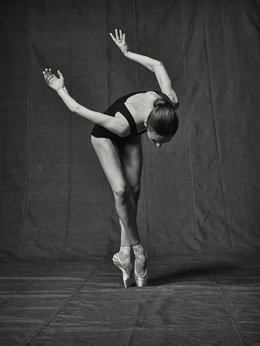 Владимир Фридкес открива първото си вдъхновение от балета през 2005 г., няколко дни преди началото на голямо преобразяване на „Болшой театър“.  Това е естествен импулс от страна на фотографа, който осъзнава важността на момента – да улови една отиваща си епоха. Тази серия от снимки се ражда неочаквано, замислена, така да се каже, „от и за себе си“.