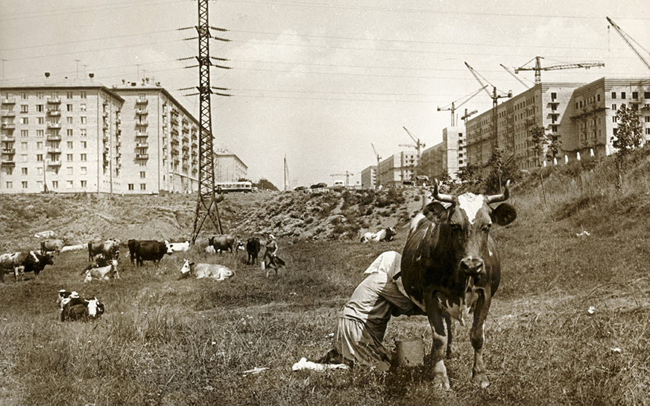 建設中のモスクワ、チェリョームシキ地区、1954年。