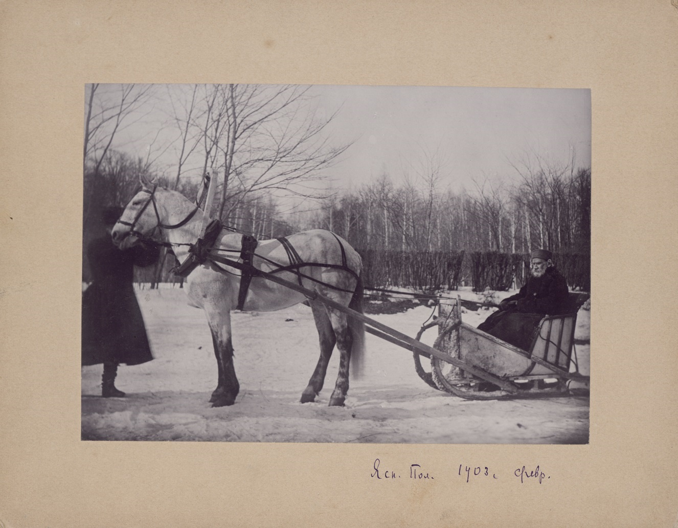 La plupart des photos ont été prises par sa femme Sofia. Son appareil enregistrait les événements importants et la vie quotidienne // Tolstoï dans un traîneau à un cheval, 1903, Iasnaïa Poliana. Photo par Sofia Tolstoï