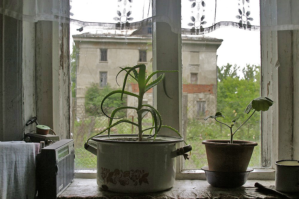 Vice versa: The view of the mansion from the window of Klavdiya Egorovna's house