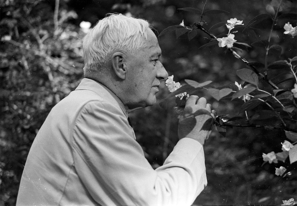 Boris Pasternak, a Nobel Prize-winnning Russian poet and writer, spent more than 20 years at his dacha in Peredelkino (Moscow region). His neighbors were also famous – for example, the popular Russian children’s poet Korney Chukovsky (pictured), 1958.