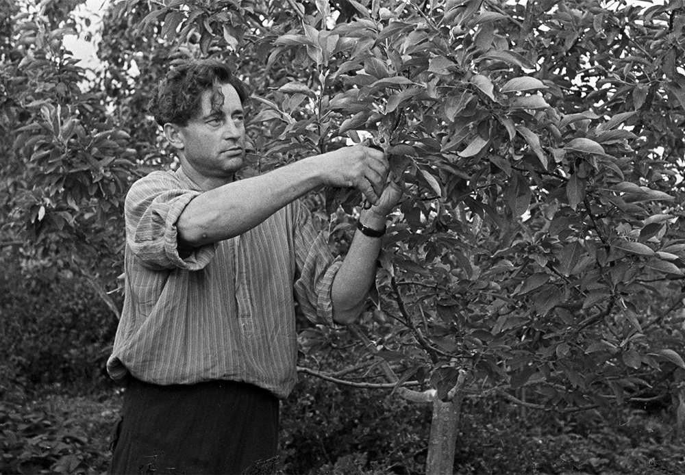 The dacha was also a paradise for those seeking privacy – an island of internal exile in the Soviet Union. / Mechanical engineer Vladimir Savin at his dacha plot, 1957.