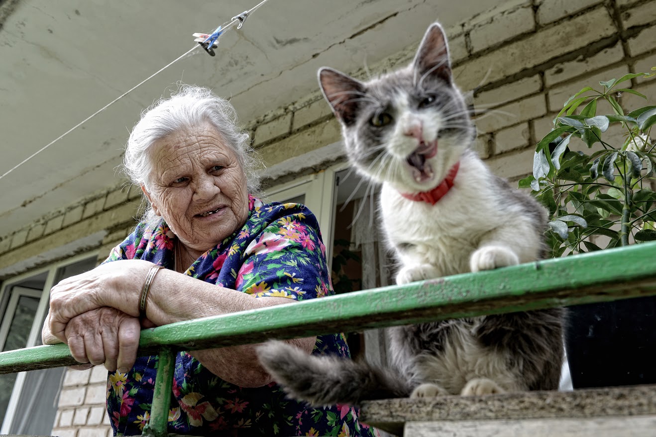 アレクサンドラ・ベロウス、2年前に85歳で亡くなった。彼女には2人の息子がいたが、2人とも亡くなっていた。彼女は老人ホームで3年間を過ごした。飼い猫のムルジクは3年前に「入居」した。