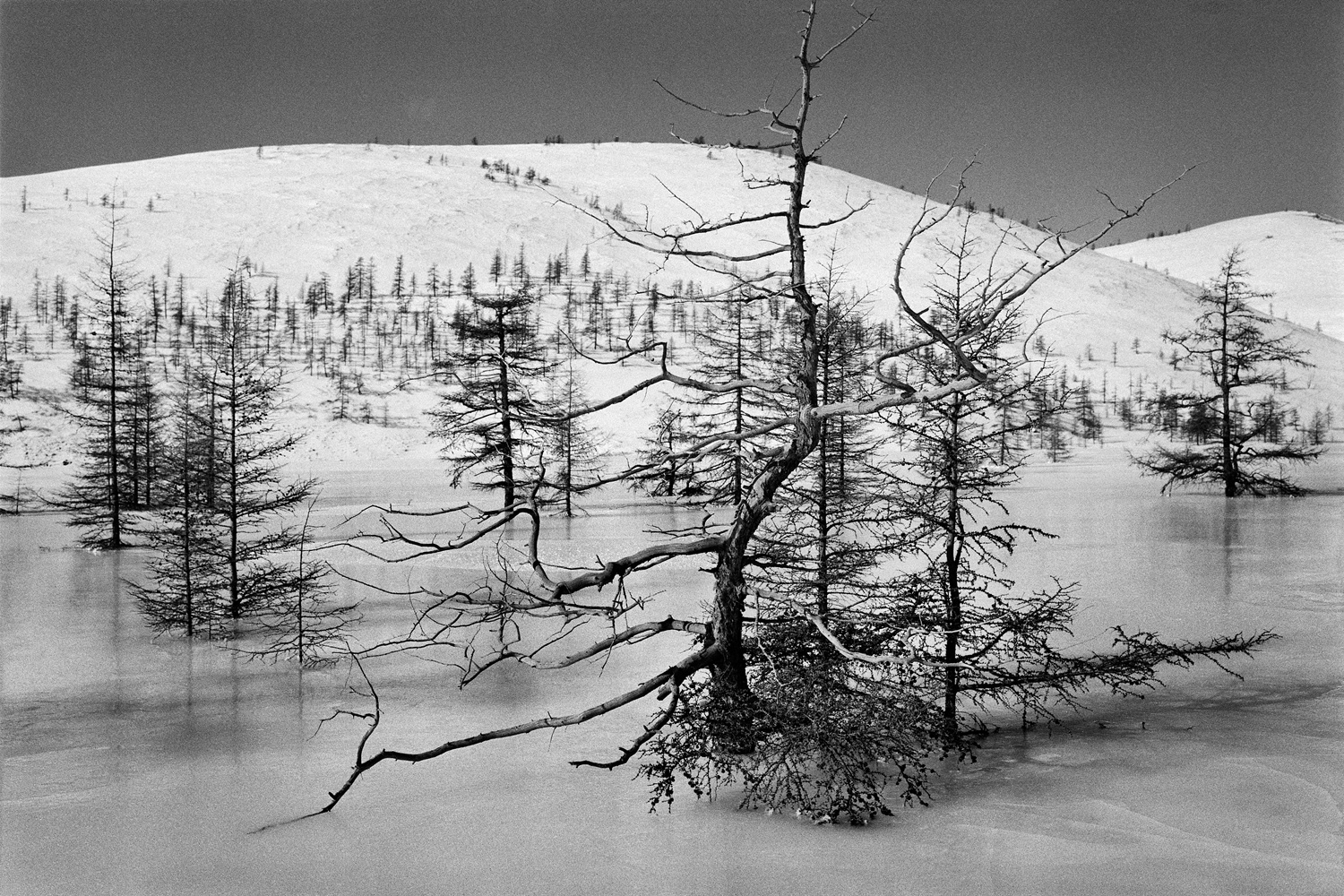 Die Fotos wurden 2014 und 2015 während zweier Expeditionen nach Kolyma gemacht, die von dem Geologen und Historiker Iwan Dschucha mit der Unterstützung der Wologda-Abteilung der Russischen Geographischen Gesellschaft organisiert wurden. Die Expedition besuchte Orte, die mit der Biographie und den Geschichten Warlam Schalamows verbunden sind. // Das Tal des Flusses Mjakit