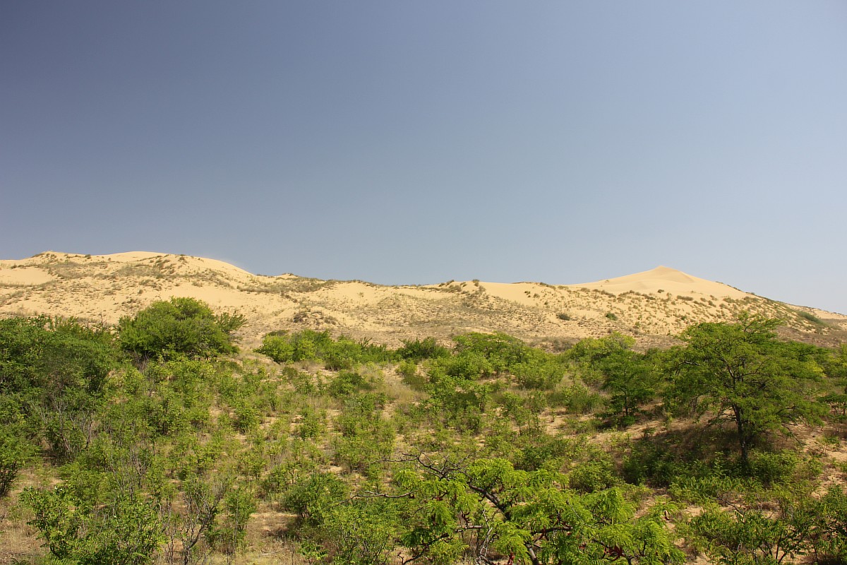 砂丘は12キロの長さで、海抜252メートルの高さである。地質学者によると、これはサハラ砂漠のグランデルグ・オリエンタルに次いで世界で2番目に大きい砂丘だ。アメリカのデスバレー国立公園とも比較できる。