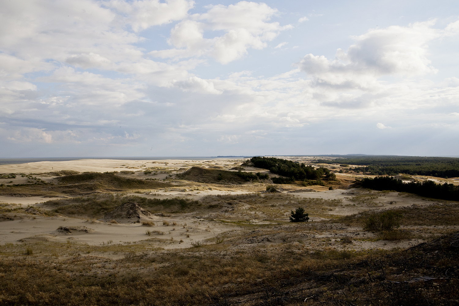 The Curonian Spit is a nearly 100-kilometer long curved sand-dune spit separating the Curonian Lagoon from the Baltic Sea Coast. It ranges in width from 400 meters at its narrowest point to 3,800 meters at its widest.