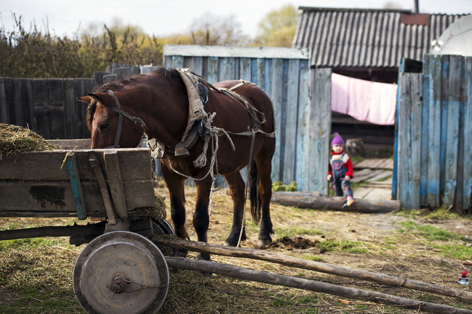Das Pferd entspannt sich nach getaner Arbeit im Dorf Iwanowo-Misskoje in der Oblast Omsk. 