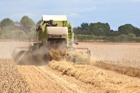 Colheita de 100 milhões de toneladas de grãos confirmou previsões do Ministério da Agricultura russo