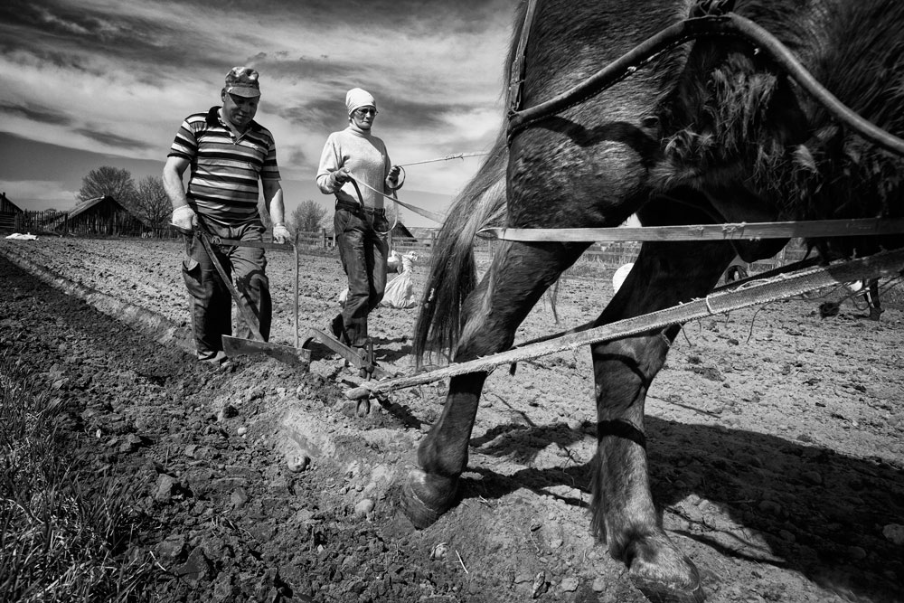 More than 100 houses in the village were once inhabited. There was a farm, not rich, but productive. They used to plant buckwheat, rye, oats, barley and potatoes and keep cows, calves, pigs, chickens, sheep and horses.