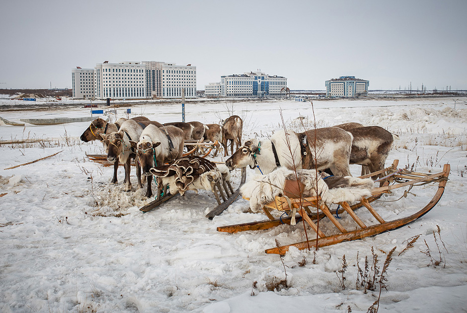 　サレハルドへは、モスクワへの直行便があるノーヴィ・ウレンゴイ空港から向かうことができる。だが、航空便はあまり定期的ではない。冬になると凍結した道路上を移動することができるが、夏場には運転できる道路がない。サレハルドに到達するもう一つの方法として鉄道があるが、それが可能なのはチュメニ・キーロフ間のルートのみだ。キーロフでは、旅行者はラブイトナンギ町行きの列車に乗り換え、さらにフェリーに乗るか凍り付いた道路上を旅しなければならないが、これはその季節によって異なる。