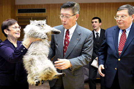 2013 bekam der Gouverneur der japanischen Präfektur Akita Norihisa Satake einen sibirischen Kater von Putin als Geschenk.