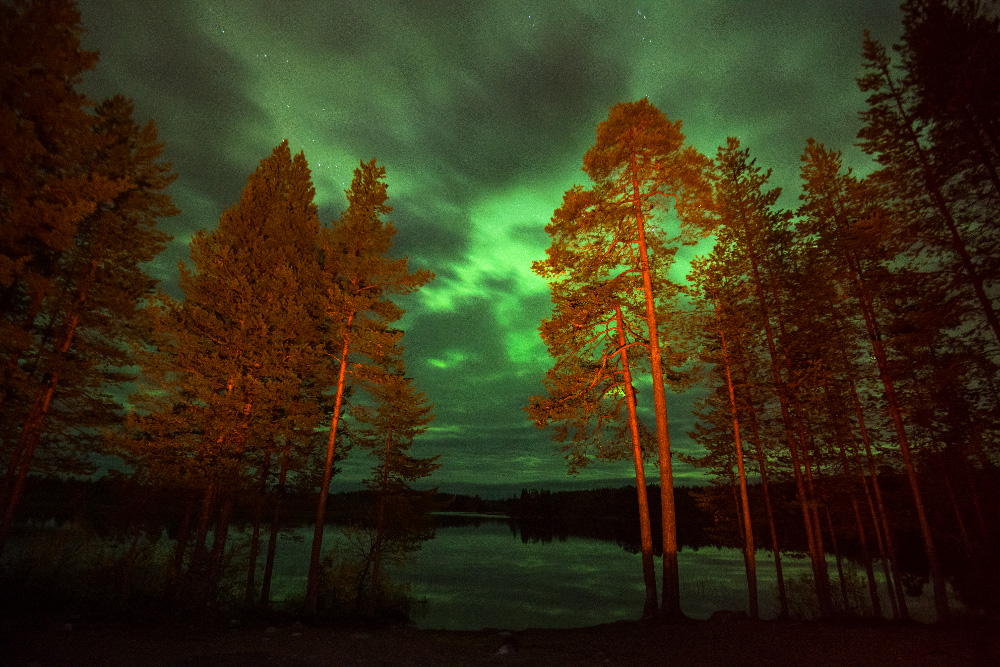 Normallerweise erscheint das Aurora im Winter. In diesem Jahr aber erleuchtete das mächtige Licht die nordrussischen Wälder lange bevor die endlosen Weiten unter einer Schneedecke verschwanden.