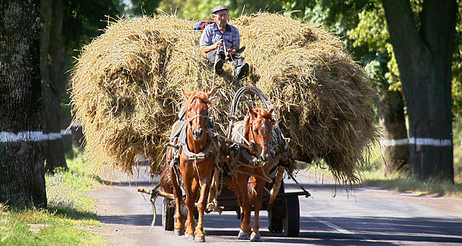 Russian farmer in Kaliningrad.
