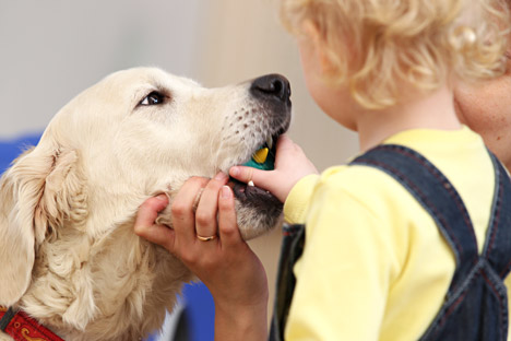 Special dogs can help passengers de-stress before departure.