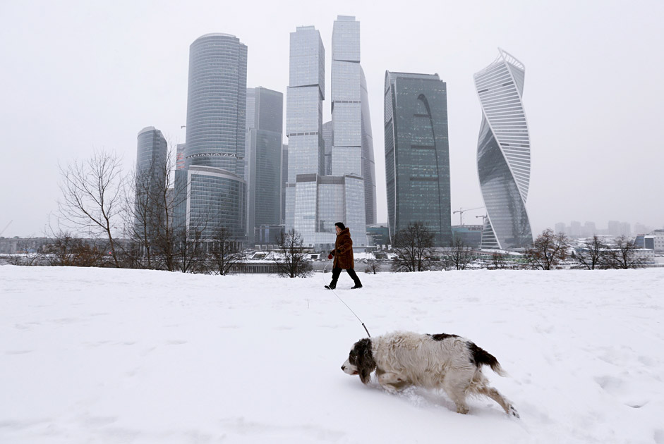 Жена шета куче, додека во позадина се гледа Московскиот меѓународен бизнис центар, попознат како „Москва Сити“. 13 јануари 2016 , Москва, Русија