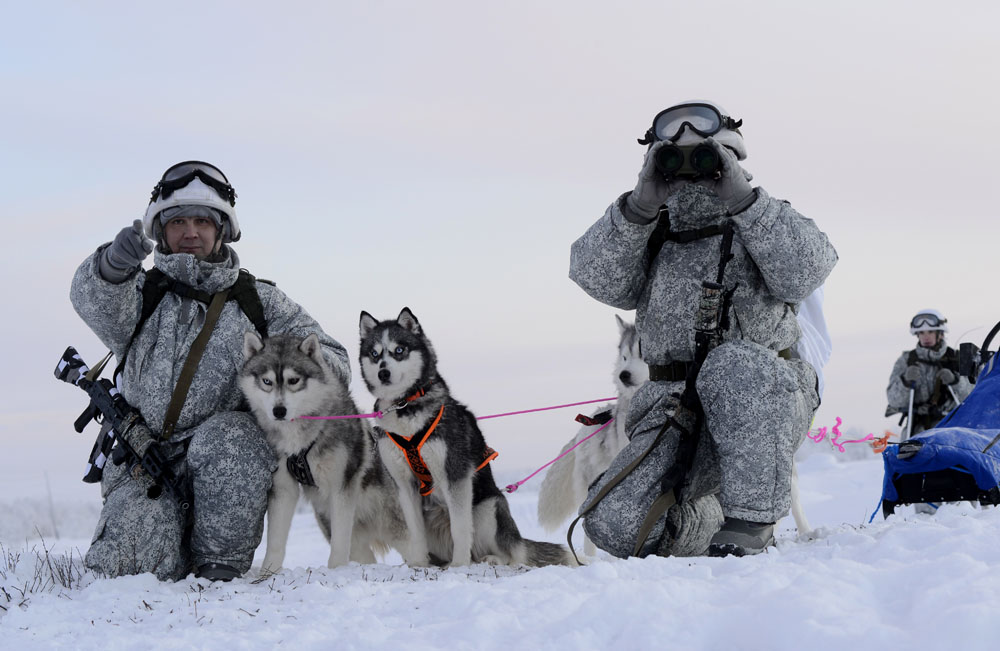 Reconnaissance unit members of the Northern Fleet's Arctic mechanised infantry brigade conduct military exercises to learn how to ride a dog sled near the Lovozero settlement, Feb. 1, 2016.