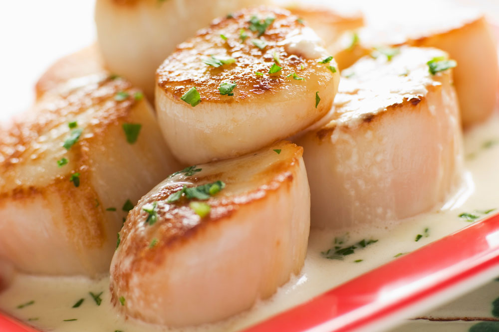 The scallop, a bi-valve, is considered to be the most delicious shellfish.