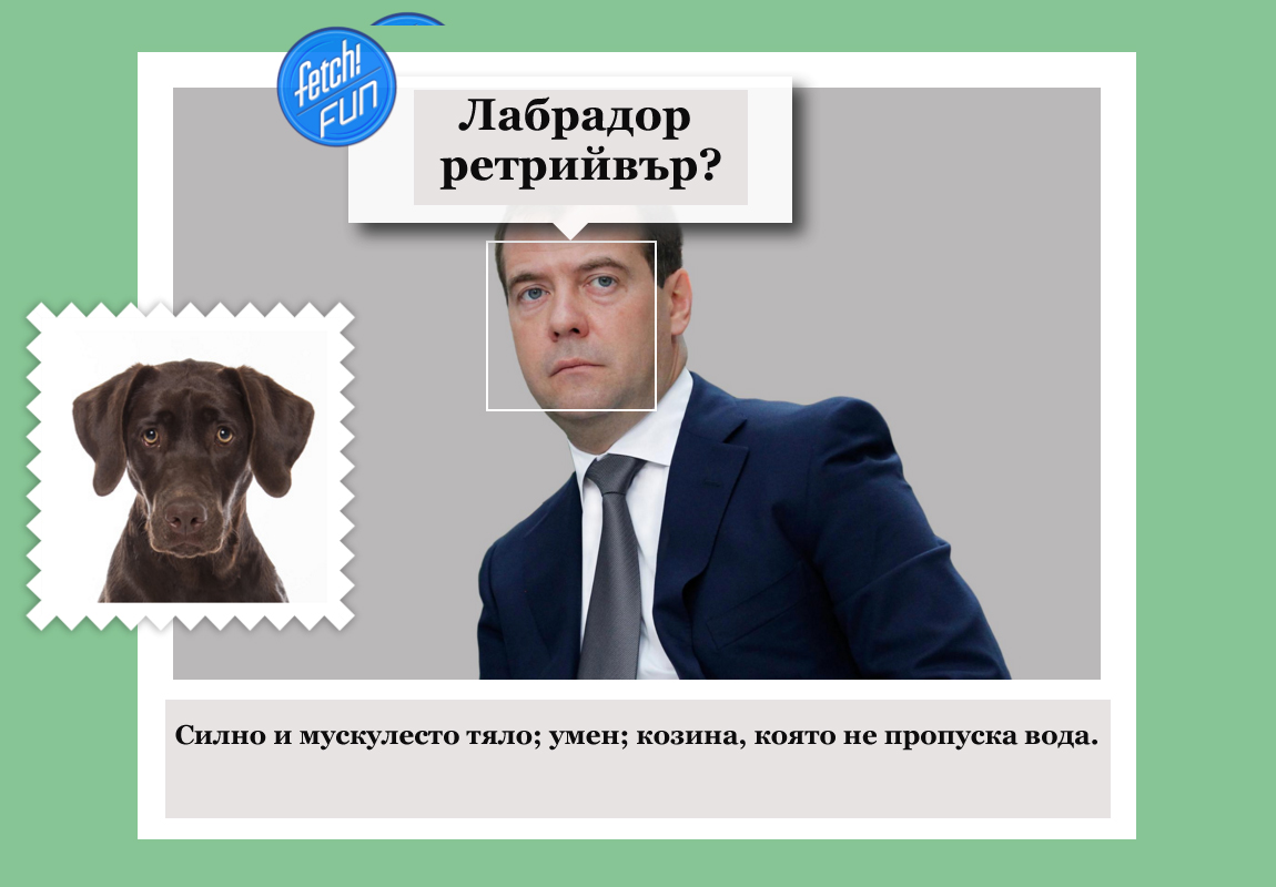 Дмитрий Медведев (десетият министър-председател на Русия) като лабрадор ретрийвър.