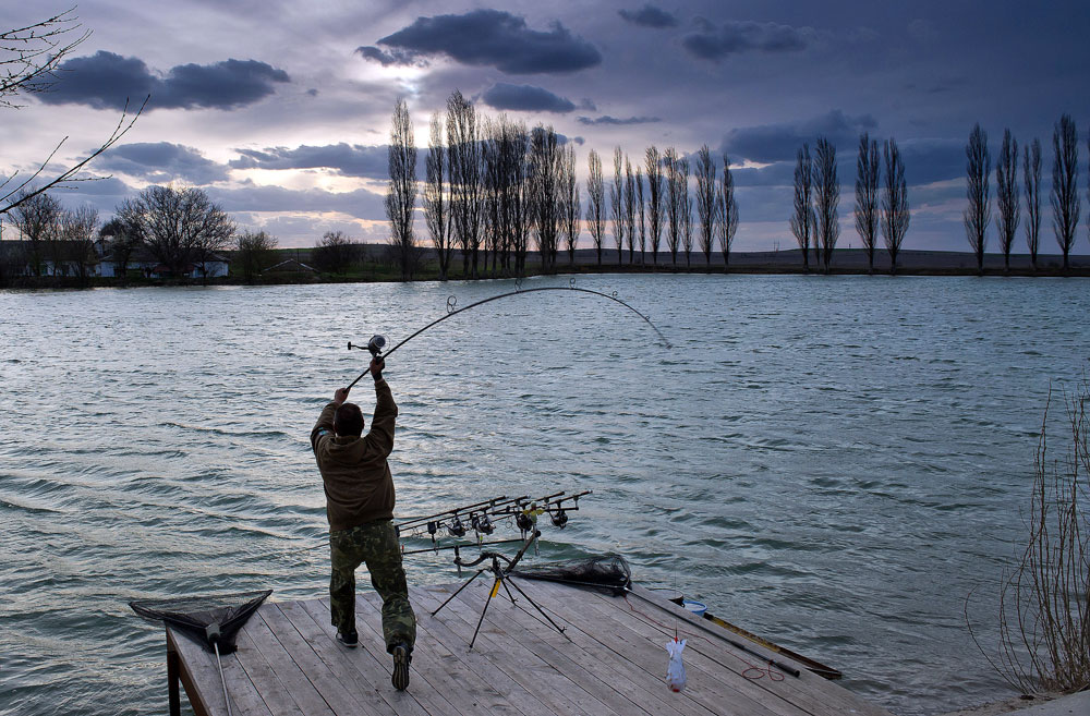 A participant in the 2016 Carpfishing championship at Ukrainka sports pond in the Belogorsky district, Crimea