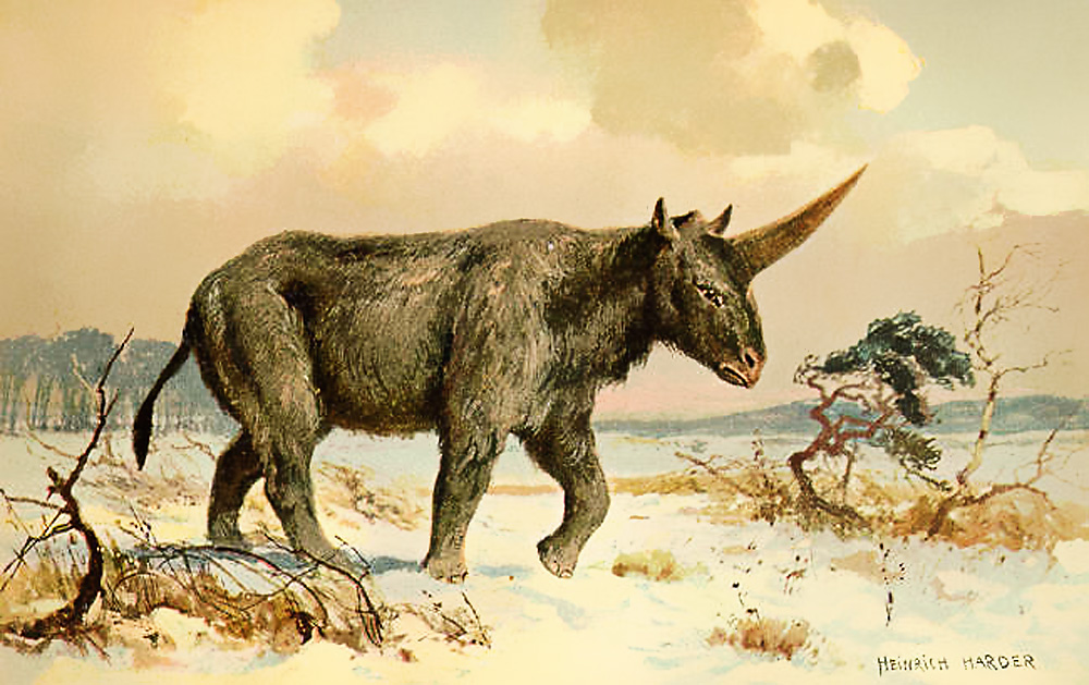 Restoration by Heinrich Harder from ca. 1920.