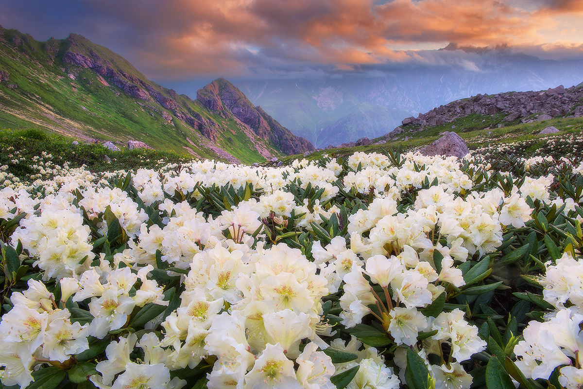 North Ossetia-Alania is a republic within the Russian Caucasus bordering Kabardino-Balkaria to the west, Stavropol Krai to the north, Chechnya and Ingushetia to the east, and Georgia to the south.