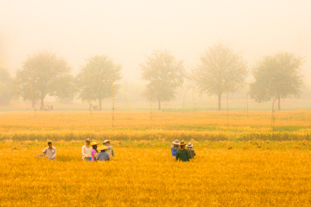 Farmers in Pang Mapha, Thailand.