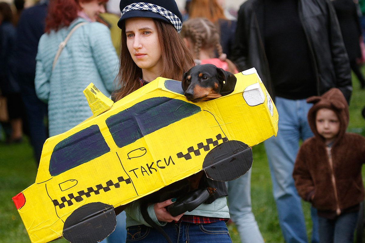 　ダックスフンドはロシア語でタクサ。だじゃれでタクシーに扮する犬が毎年必ずあらわれる。