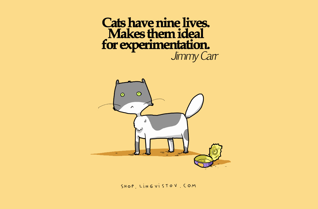 Котките имат девет живота.Това ги прави идеални за експерименти.Джими Кар