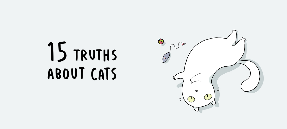 15 истини за котките