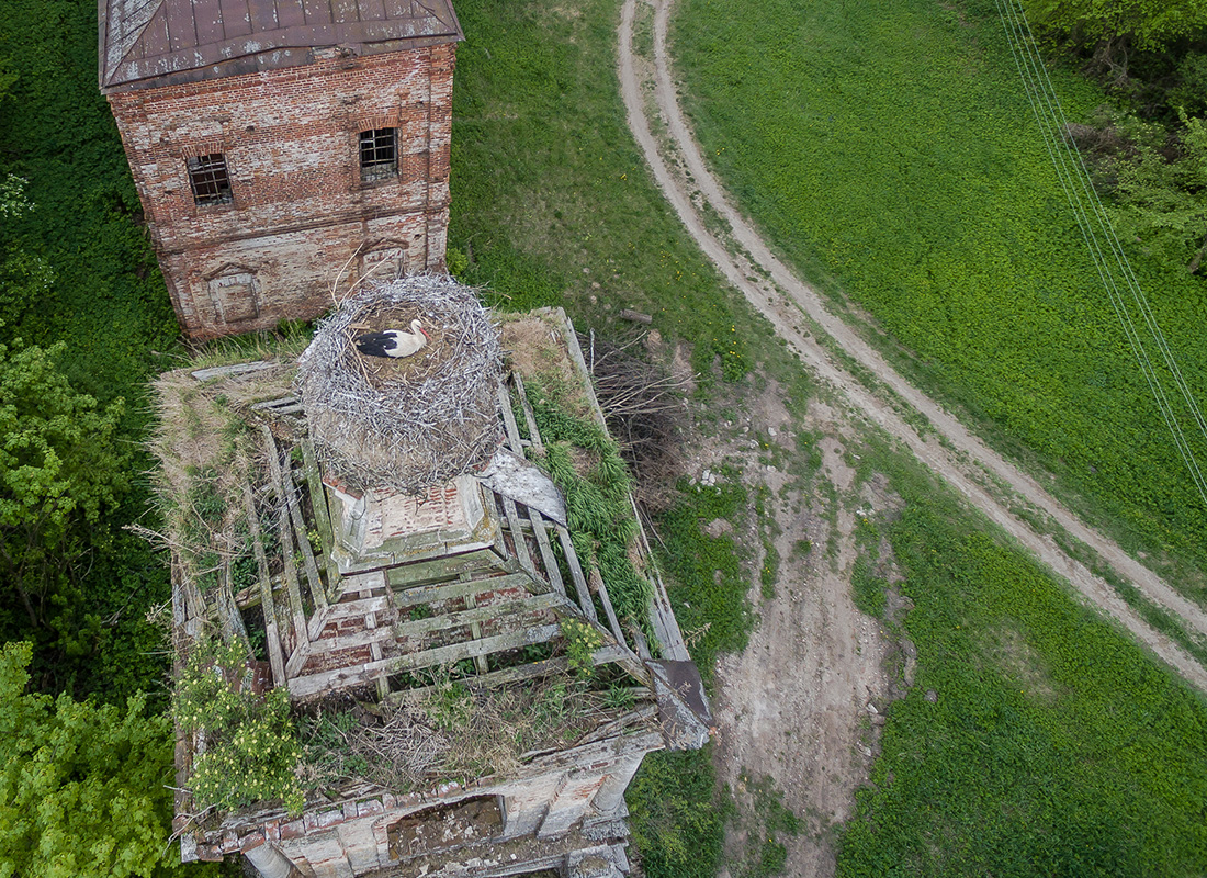 Štorklja na zvoniku cerkve na posesti Mljeviči.