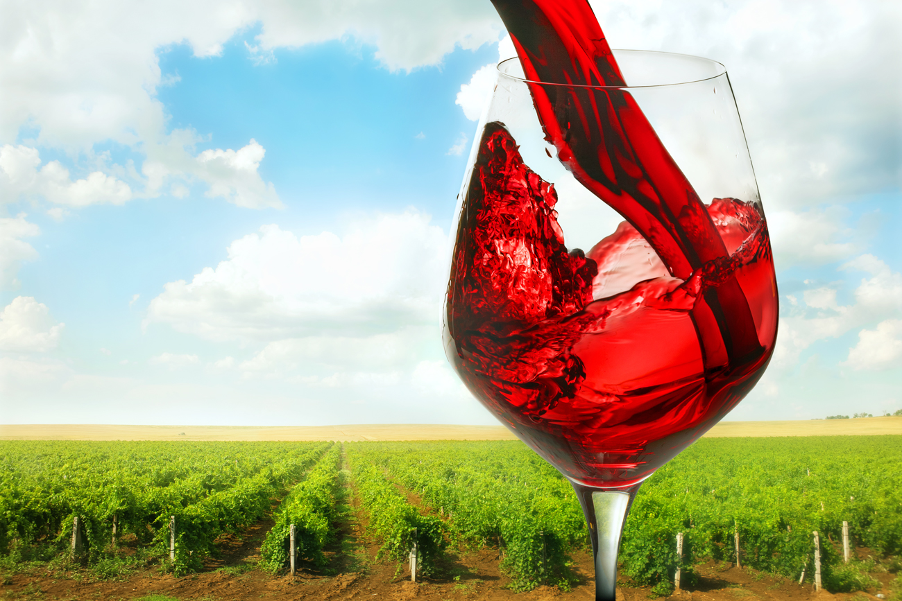 Veliko ruskih vrhunskih vin prihaja prav iz krimskih vinogradov.