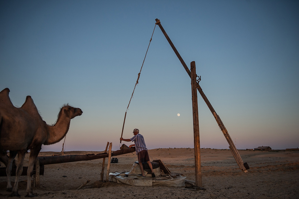Steppa al confine con il Kazakhstan. Da oltre vent’anni una famiglia vive qui allevando cammelli a 80 chilometri dal centro abitato più vicino