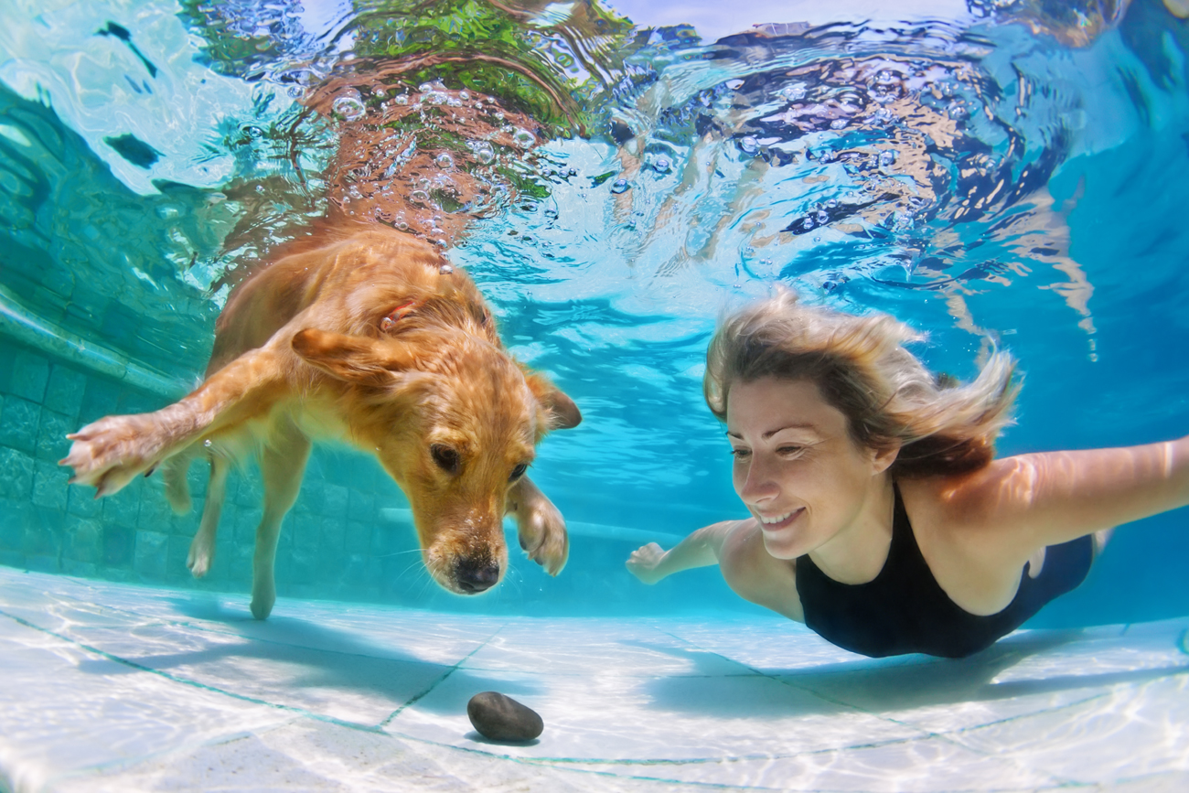 Кучиња под вода
