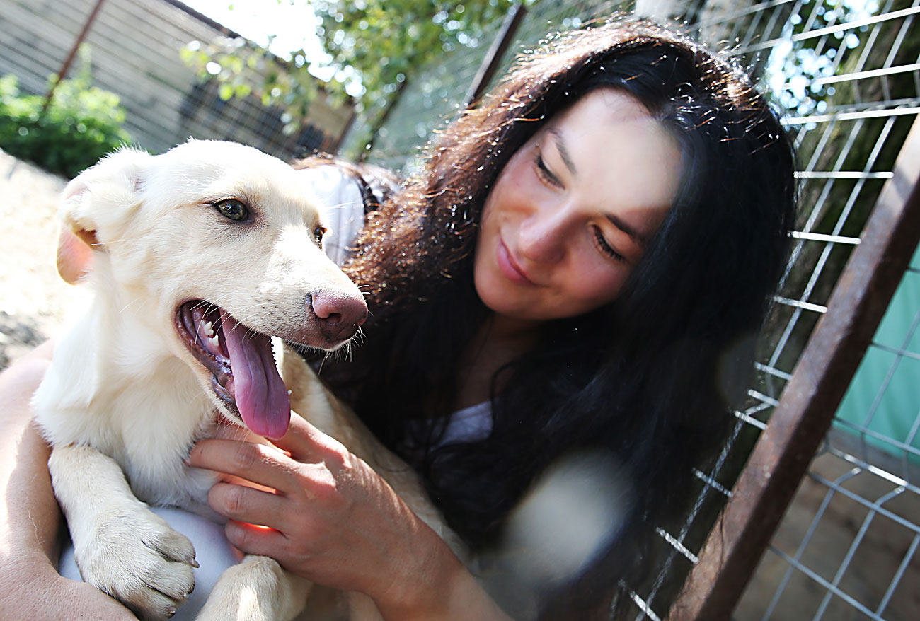 Доброволец гали куче в приюта за животни "Дивото зове" в област Одинцово.